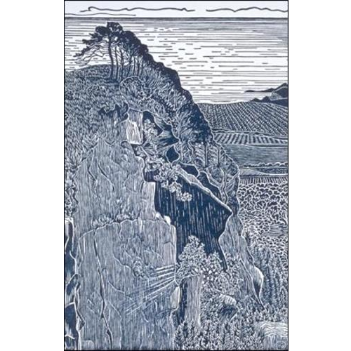 Majors Canyon, Santa Cruz Co — Tom Killion